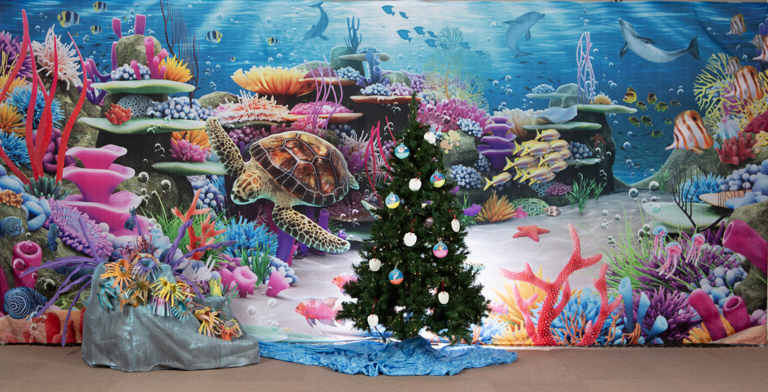 Scuba Decorating Archives - Group VBS Tools